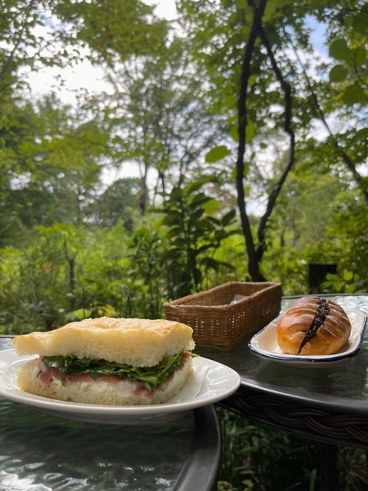 mさんが投稿したカフェ・フェリーチェに関する口コミの画像
