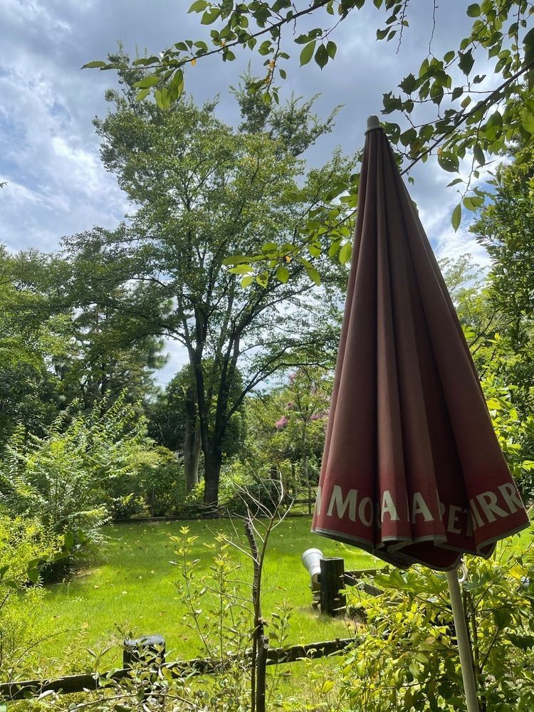 mさんが投稿したカフェ・フェリーチェに関する口コミの画像