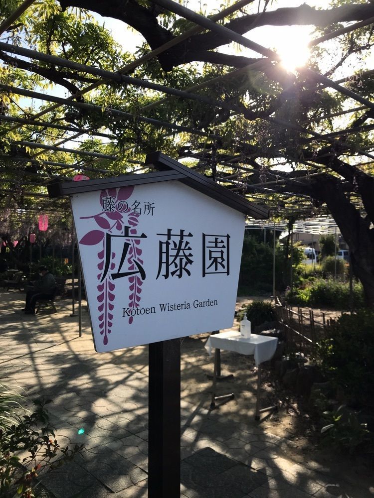 べべさんが投稿した広藤園の藤に関する口コミの画像