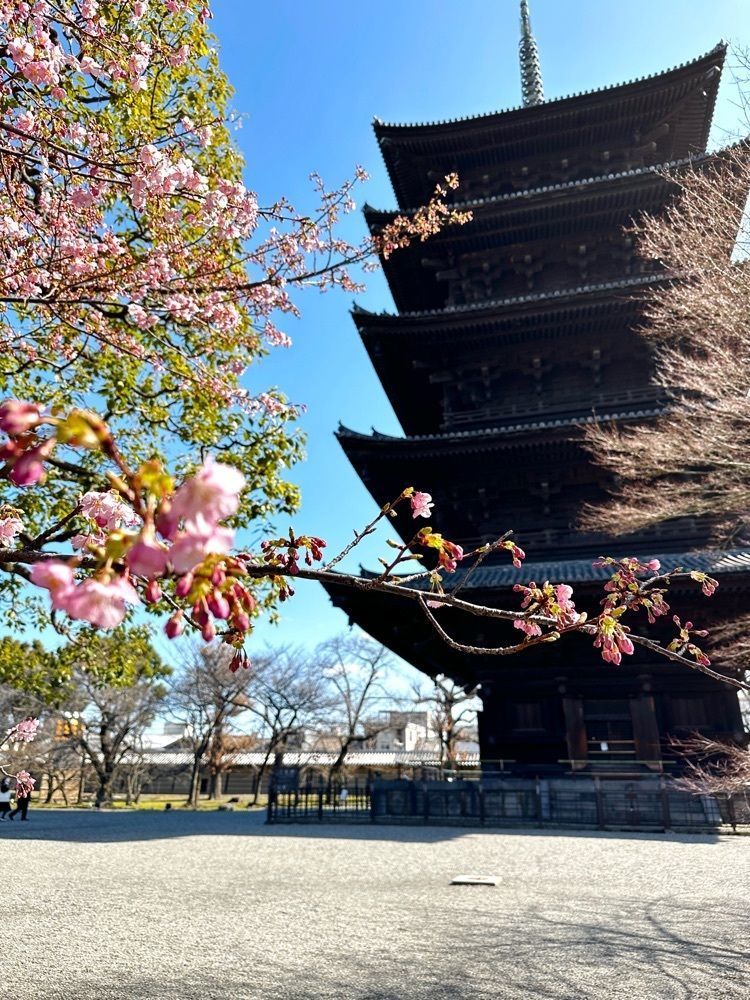 marco_travelnoteさんが投稿した平乃屋（HIRANOYA）に関する口コミの画像