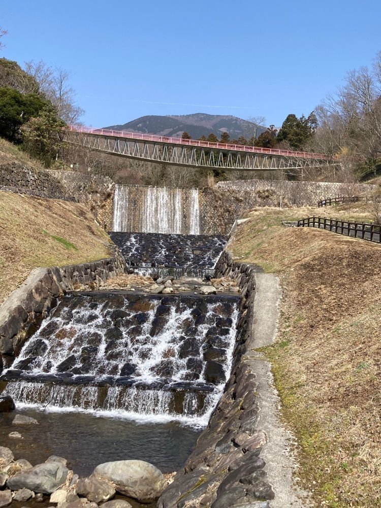 うーとらマンさんが投稿した那岐山麓山の駅山野草公園に関する口コミの画像