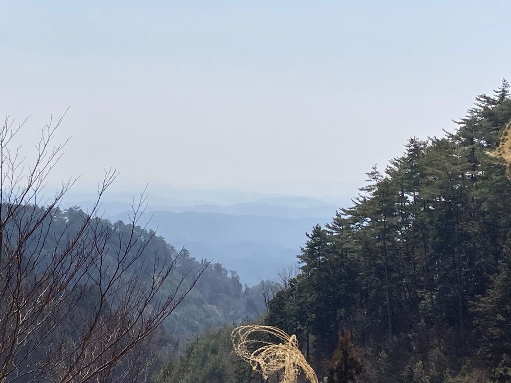 うーとらマンさんが投稿した那岐山麓山の駅山野草公園に関する口コミの画像