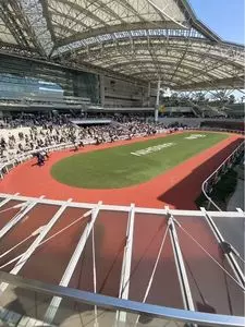 阪神競馬場