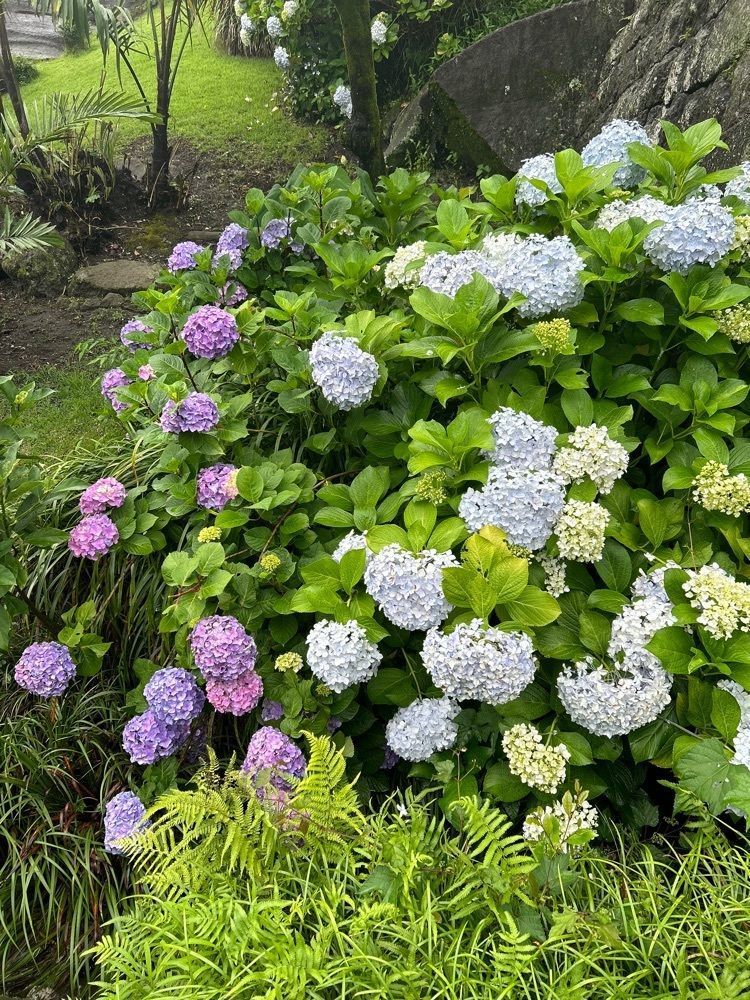 Rei Ouchiさんが投稿した桜華亭（オウカテイ）に関する口コミの画像
