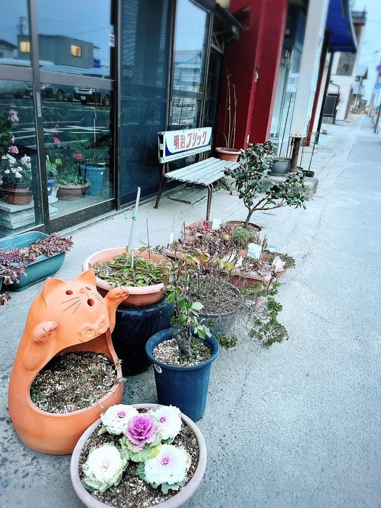 猫なぎ。さんが投稿したわた福に関する口コミの画像