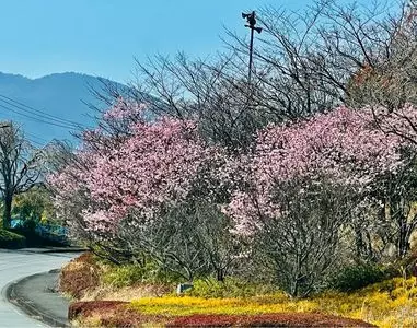 アサヒビール神奈川工場