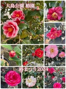椿花ガーデン