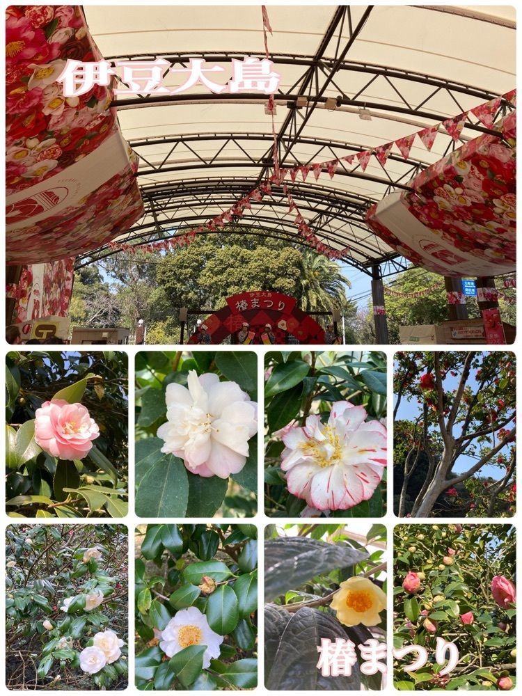 Catherine.yさんが投稿した椿花ガーデンに関する口コミの画像