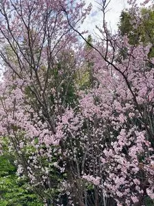 福王寺（静岡県磐田市）