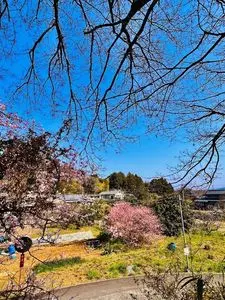 アサヒビール神奈川工場