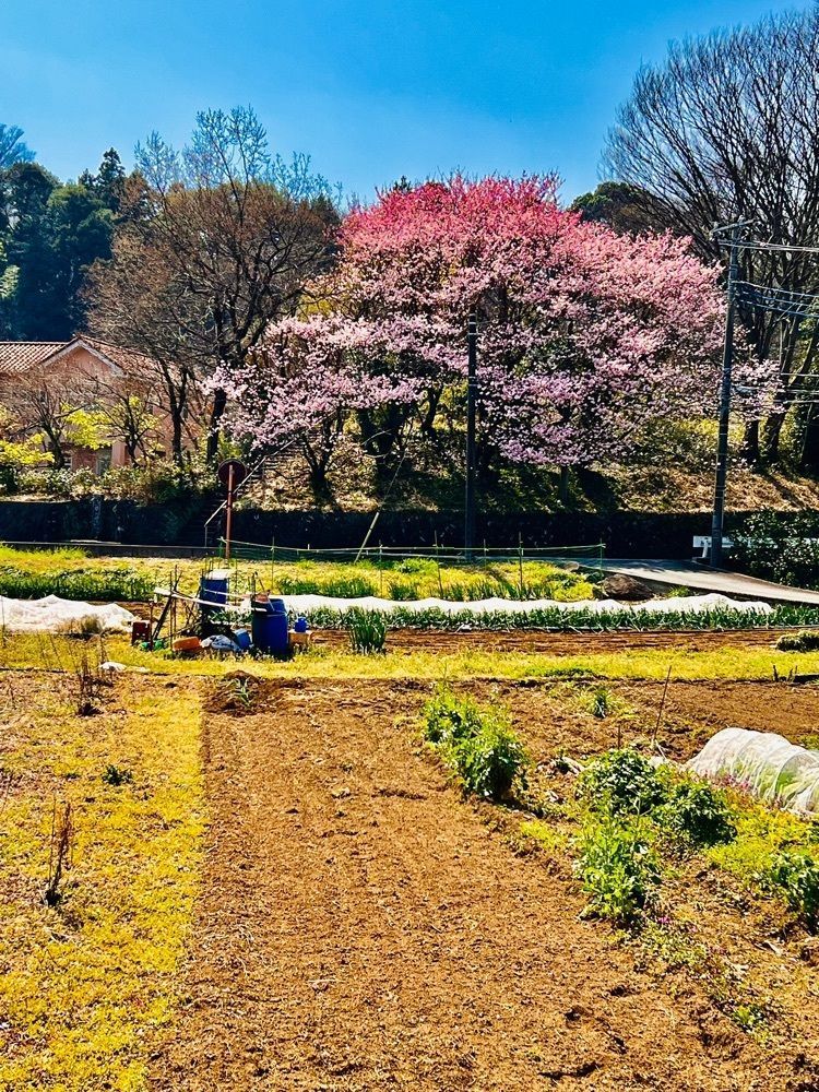 ビンカさんが投稿したアサヒビール神奈川工場に関する口コミの画像