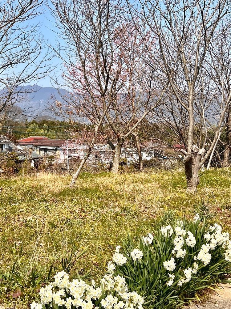 ビンカさんが投稿したルミエールに関する口コミの画像