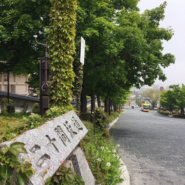 megg_meさんが投稿した函館元町に関する口コミの画像