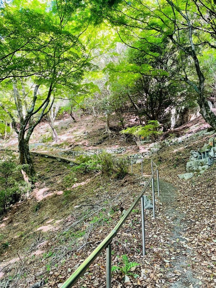 みぃさんが投稿した慈眼寺（宮崎県延岡市）に関する口コミの画像