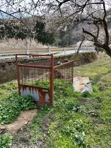 箕郷梅林