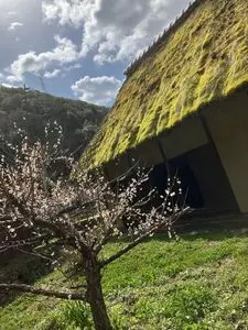 里山の自然学校　紀泉わいわい村