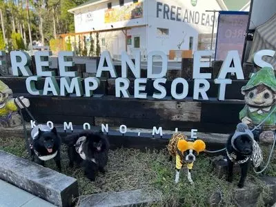 FREE　AND　EASY　CAMP　RESORT