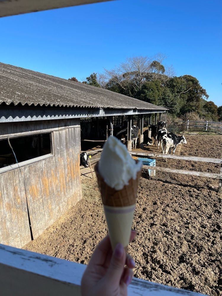 mさんが投稿した高秀牧場ミルク工房に関する口コミの画像