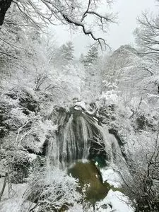 大滝公園