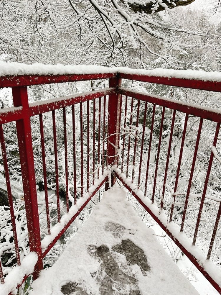 猫なぎ。さんが投稿した大滝公園に関する口コミの画像