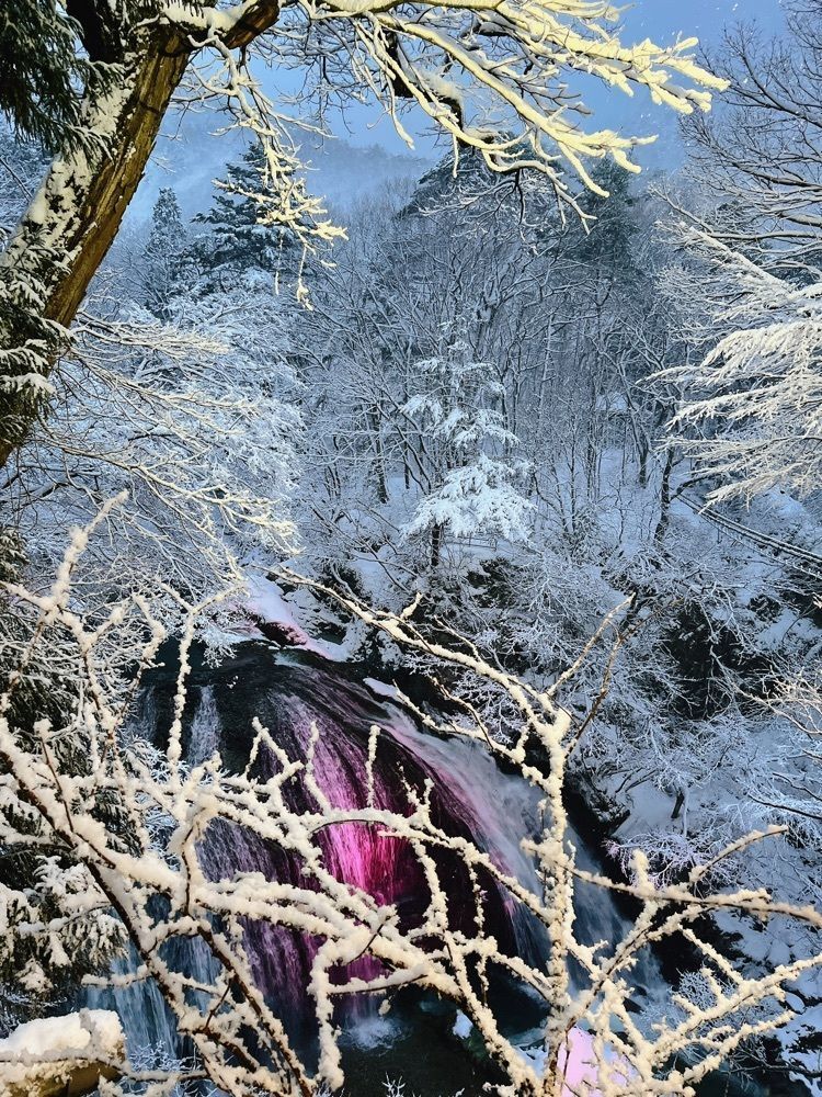 猫なぎ。さんが投稿した大滝公園に関する口コミの画像