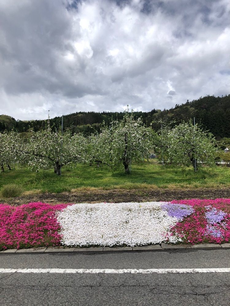 からっ風②さんが投稿した川場村に関する口コミの画像