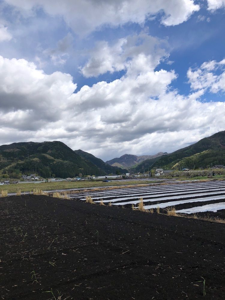 からっ風②さんが投稿した川場村に関する口コミの画像