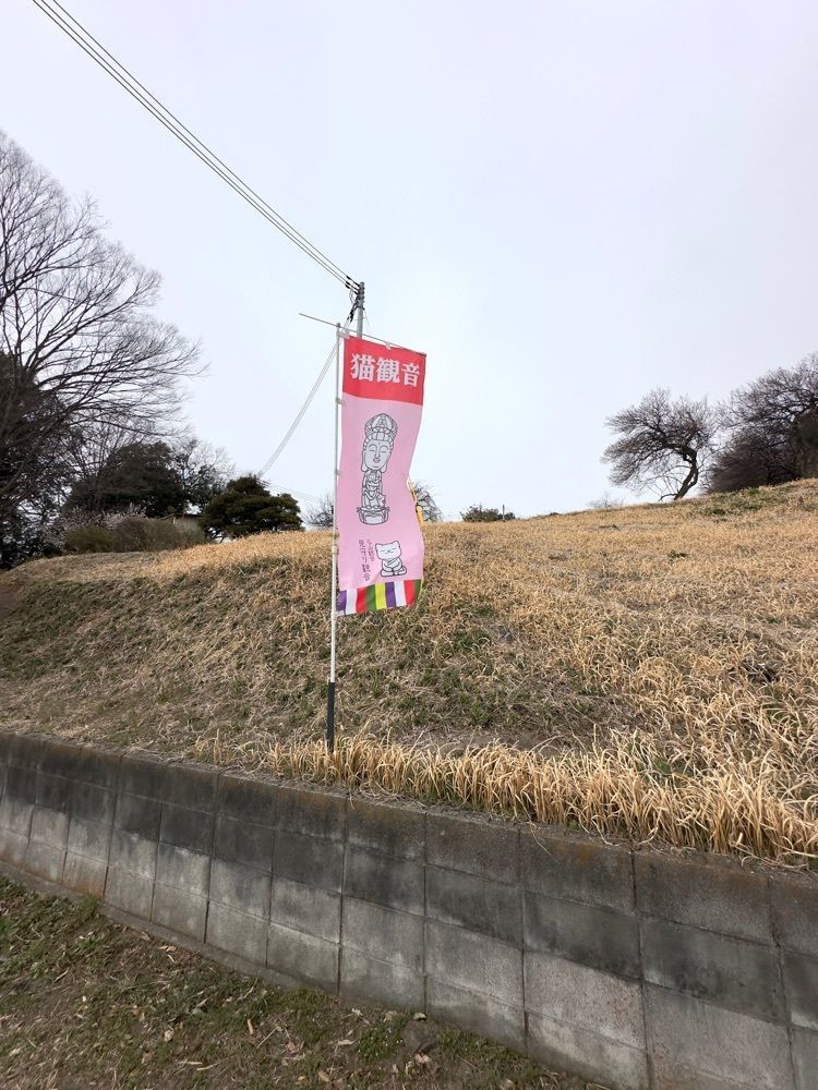 からっ風②さんが投稿した石山観音堂に関する口コミの画像