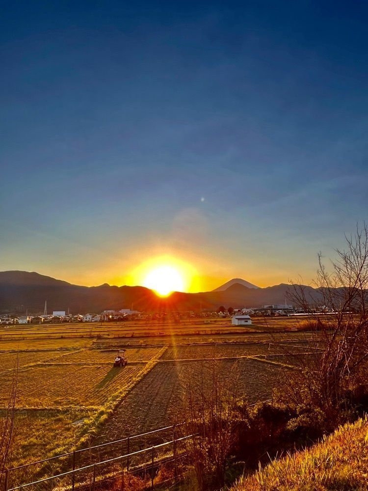 ビンカさんが投稿したつきじ海賓 栢山店に関する口コミの画像