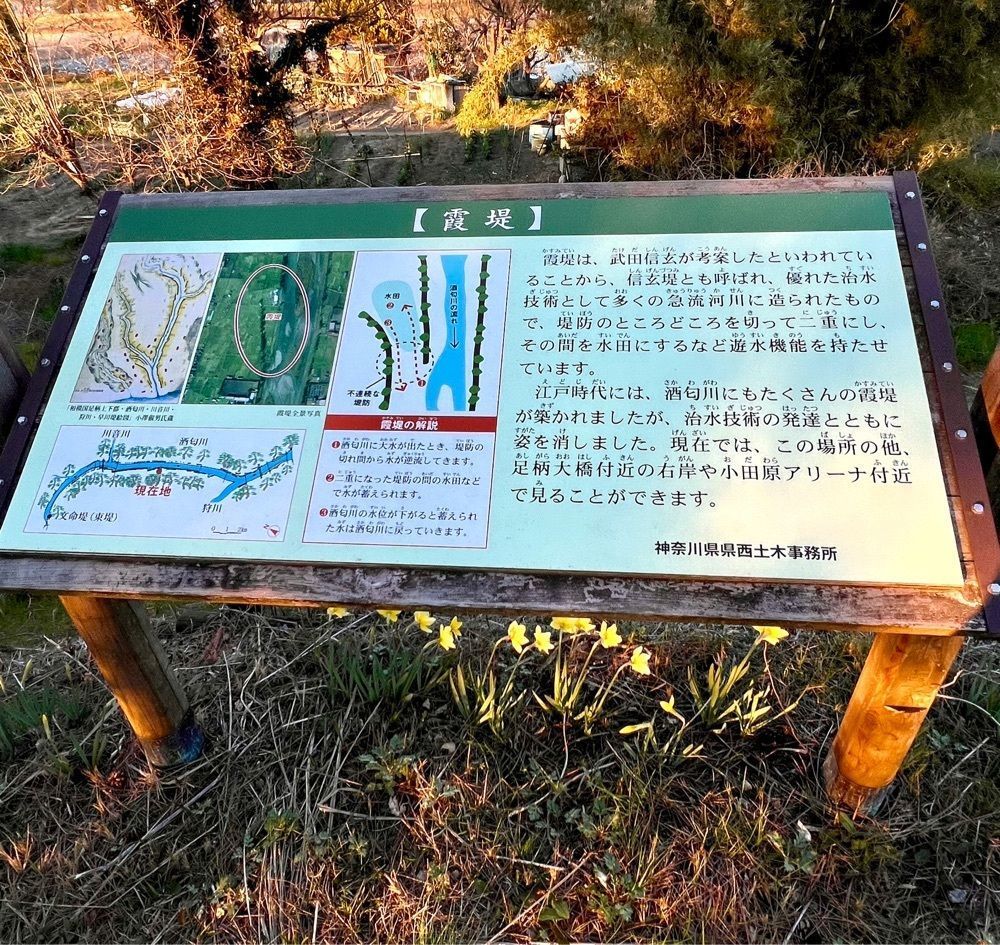 ビンカさんが投稿したつきじ海賓 栢山店に関する口コミの画像