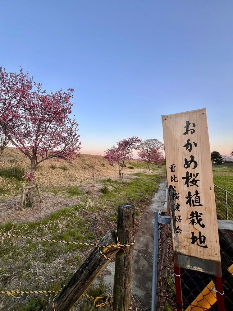 ビンカさんが投稿した洋食茶屋に関する口コミの画像