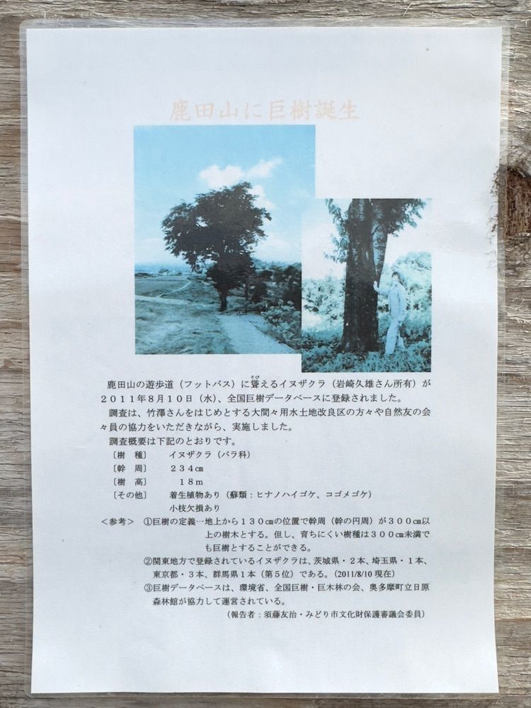 からっ風②さんが投稿したあすかに関する口コミの画像