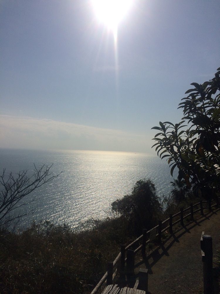 take.aさんが投稿した薩埵峠に関する口コミの画像