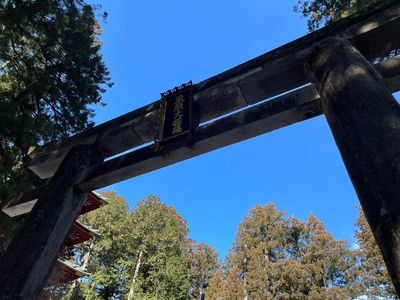 東照宮唐門 7枚目