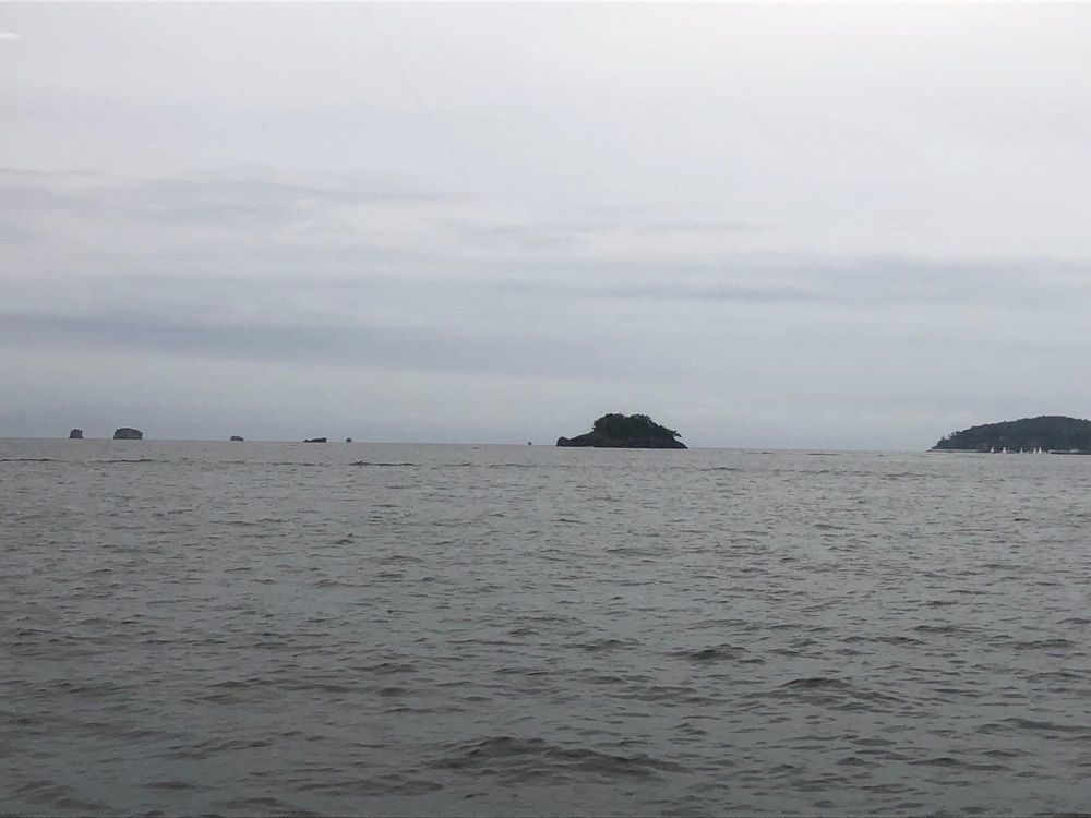 fumiさんが投稿した松島湾観光汽船に関する口コミの画像