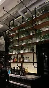 VIVARIUM（ビバリウム）