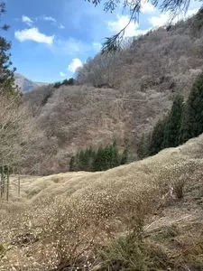 清風園（セイフウエン）
