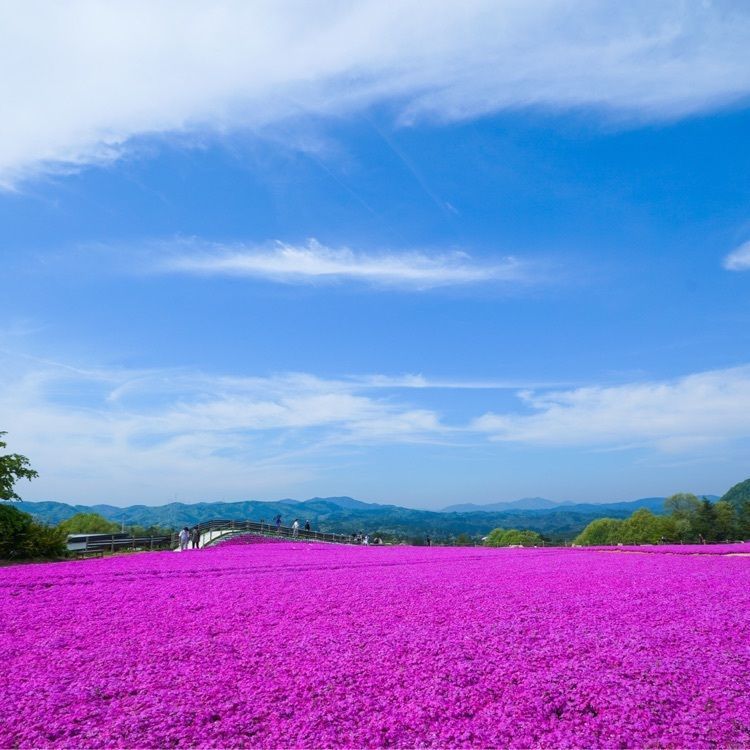 Tettsuさんが投稿した画像の画像