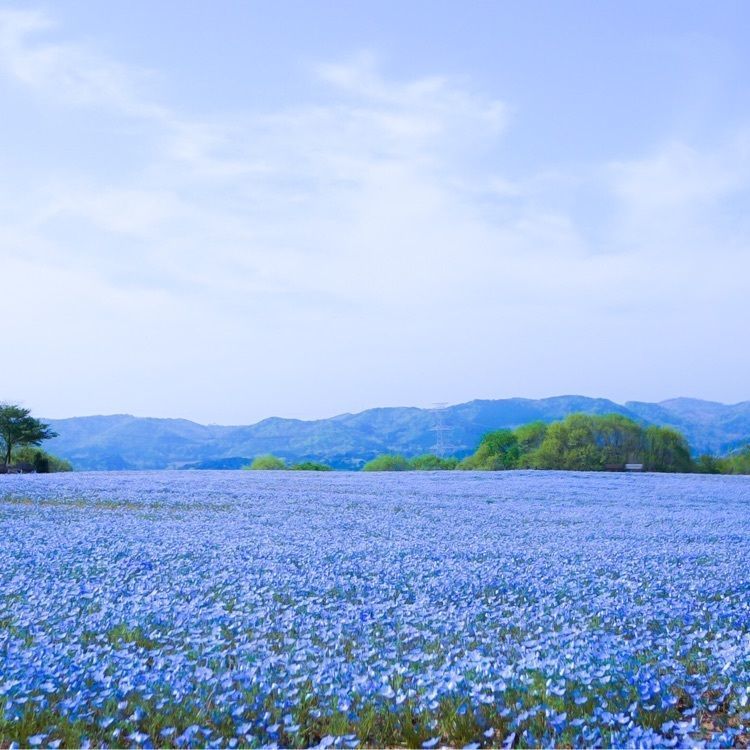 Tettsuさんが投稿した画像の画像