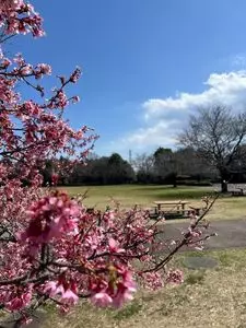 神奈川県立おだわら諏訪の原公園