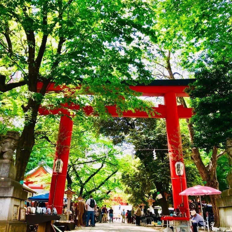 Blue-SHINさんが投稿した花園神社に関する口コミの画像