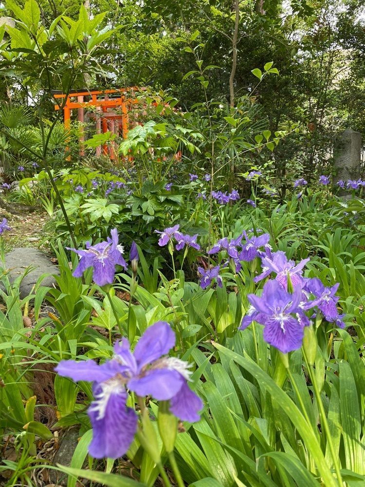 io.tomさんが投稿した上御霊神社に関する口コミの画像