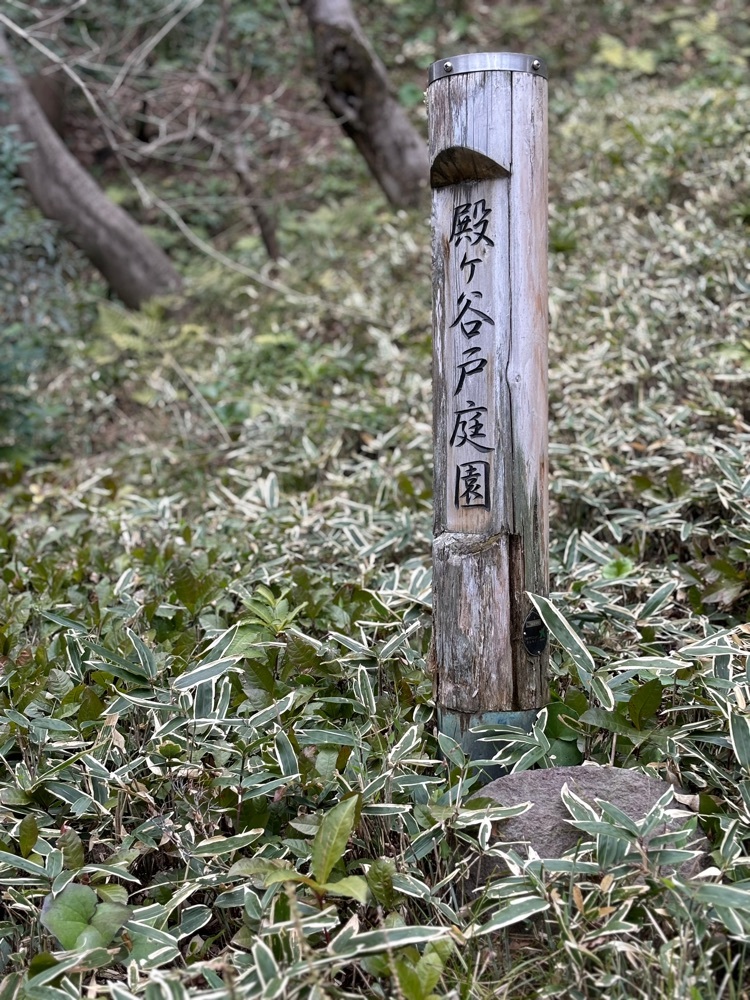 都立殿ヶ谷戸庭園