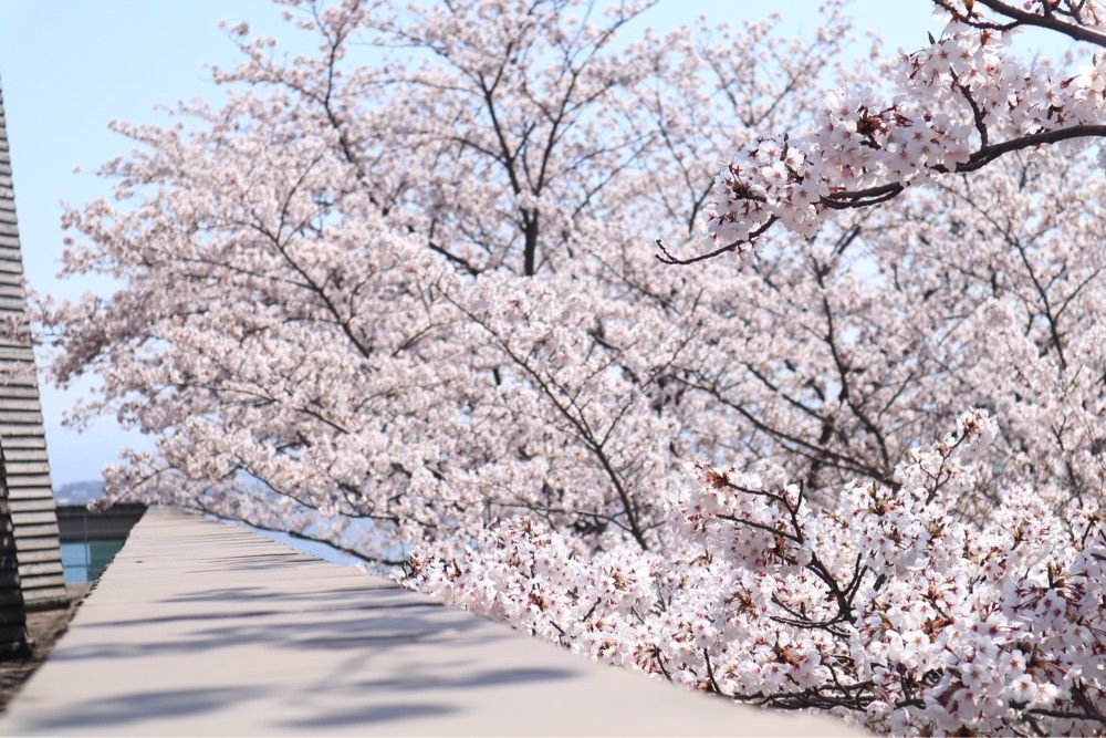 でぃーごさんが投稿した中谷宇吉郎雪の科学館に関する口コミの画像