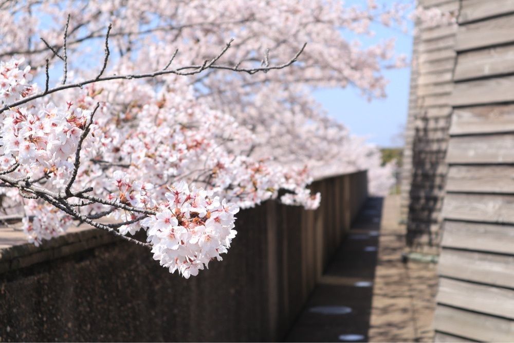 でぃーごさんが投稿した中谷宇吉郎雪の科学館に関する口コミの画像
