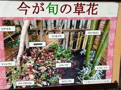 都立殿ヶ谷戸庭園