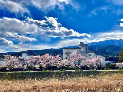 施設画像