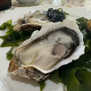 しらす食堂 つしま神社店