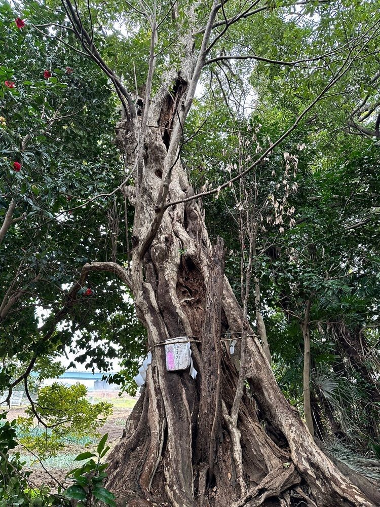 かつさんが投稿した有鹿神社に関する口コミの画像