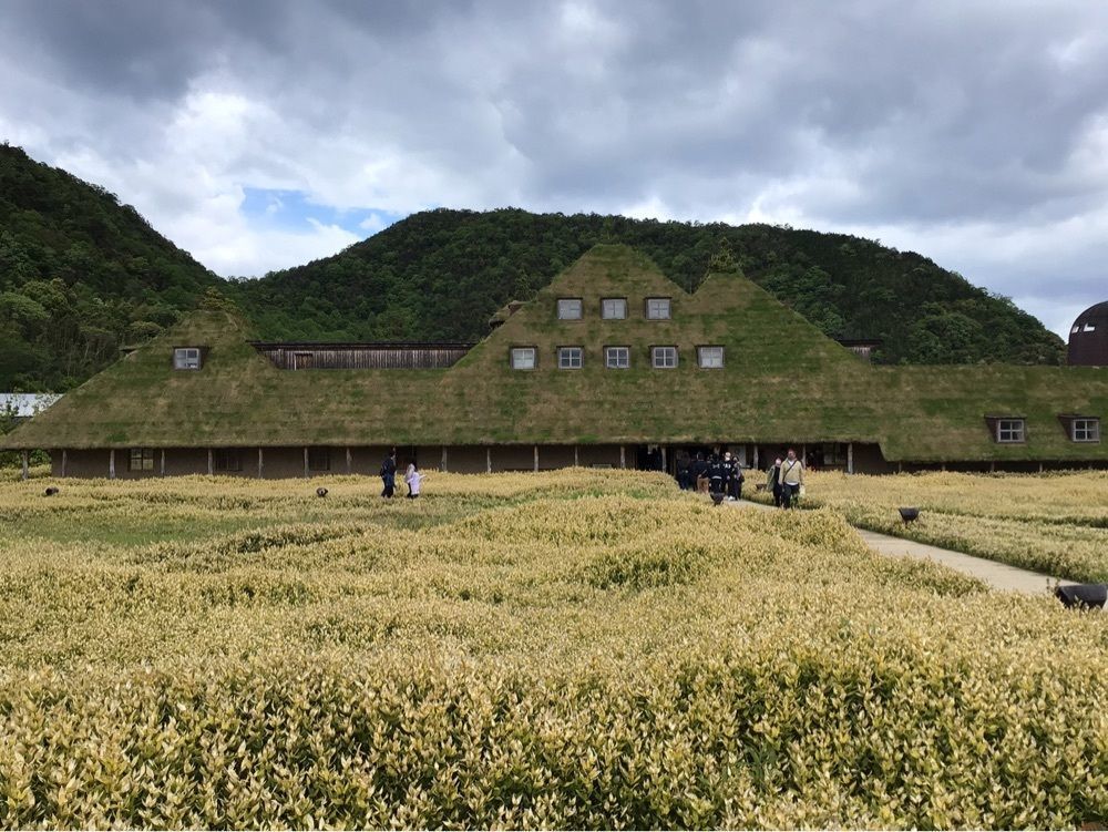 shin-emonさんさんが投稿した画像の画像